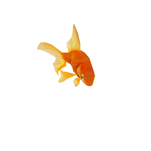 Goldfish Avoidance Mobile